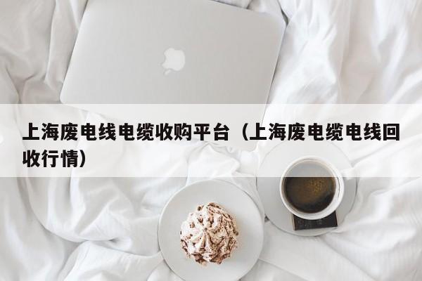 上海废电线电缆收购平台（上海废电缆电线回收行情）