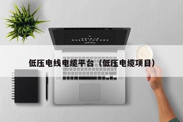 低压电线电缆平台（低压电缆项目）
